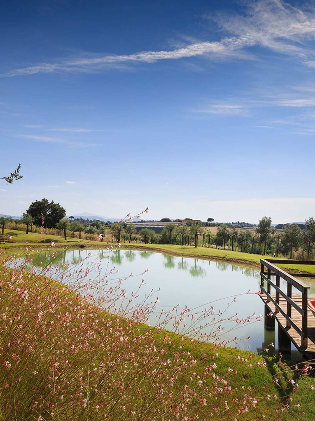 The Olive Park with lake